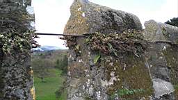 acastle
                          111150.jpg